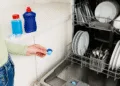dishwasher cleaning tablets + dishwasher rinse aid